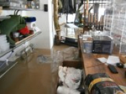 sabrina_hoenel_05-160x120