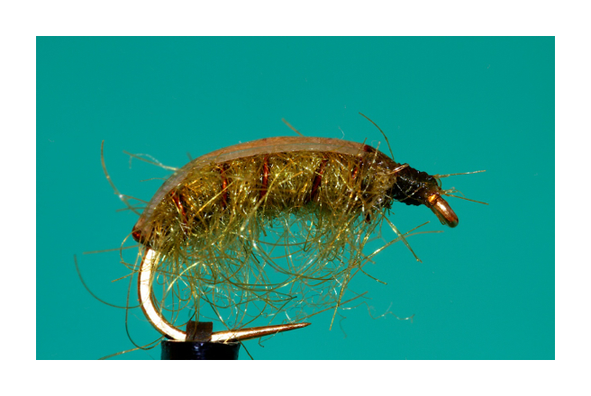 Fokus Ergebnis (A, 8, 4)