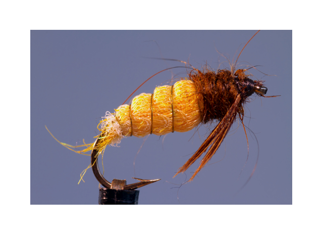 Igor Stankiew Nymphe