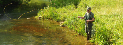 cropped-MD-DSCN1822-08